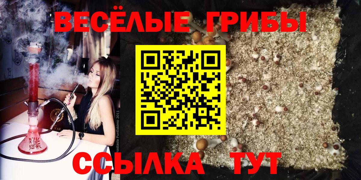 Псилоцибиновые грибы мицелий  Вход с VPN  Галлюциногенные грибы Magic Shrooms  Алапаевск 